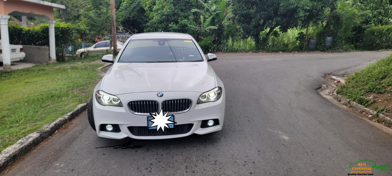 2017 BMW 5 Series (White)